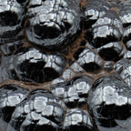Botryoidal Hematite - Polished Handheld Specimens