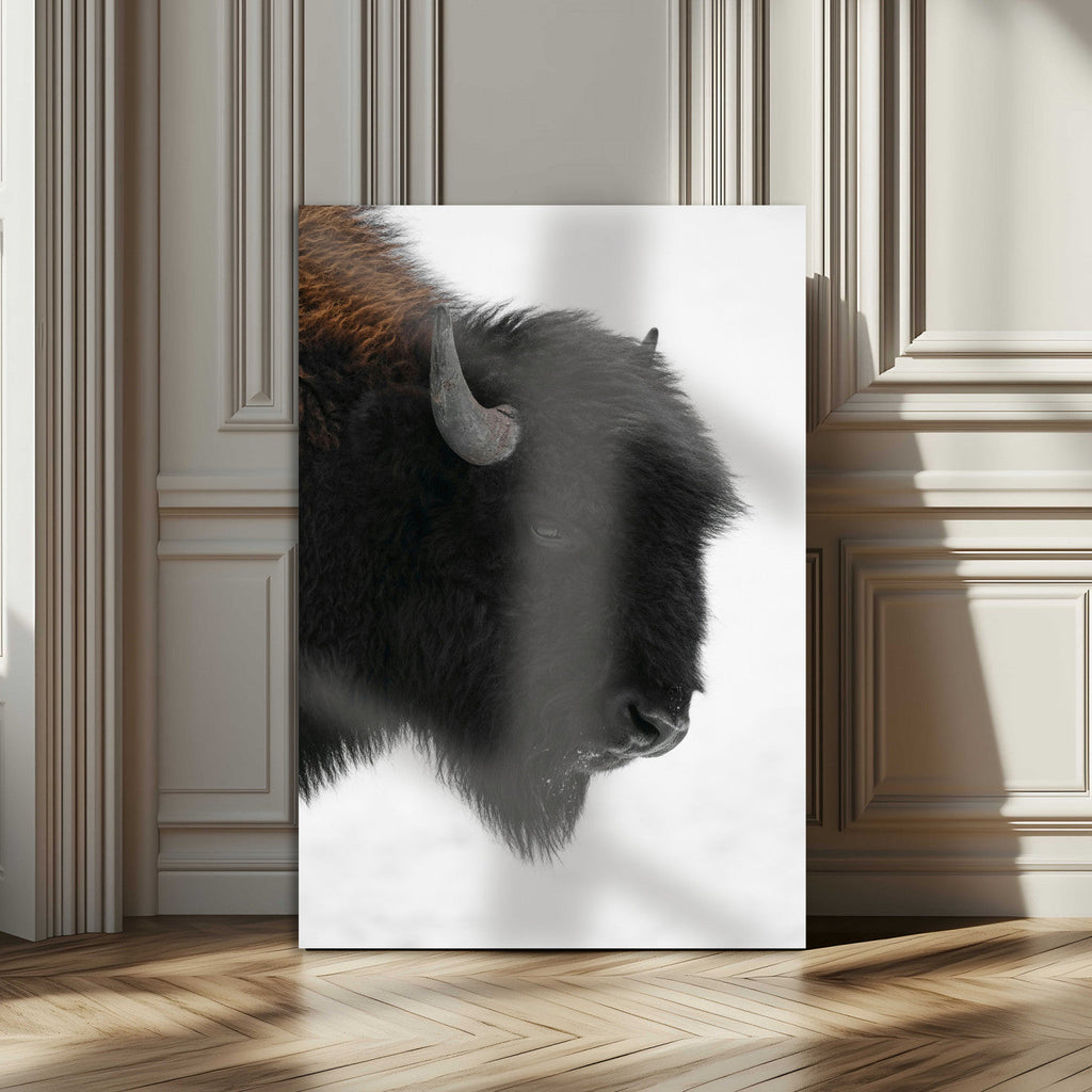 Western Rustic Wall Art Canvas Print, Framed Black and White Buffalo Photography, Wildlife Country Decor