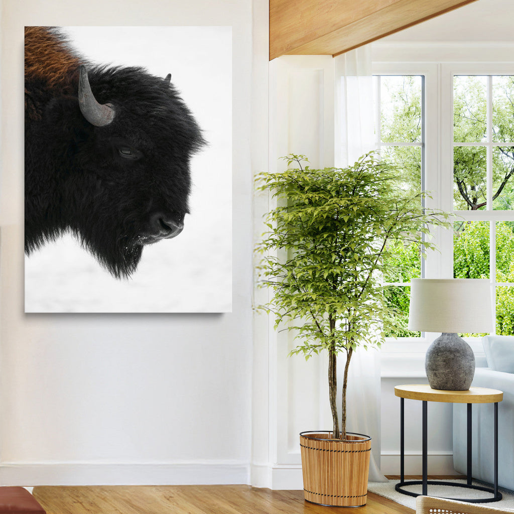 Western Rustic Wall Art Canvas Print Framed Buffalo
