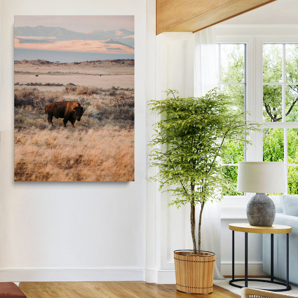 Solitary Buffalo Wall Art Canvas Print, Framed Golden Prairie Earthy Tones