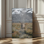 Wild Elk Wall Art Canvas Print, Framed Mountain Wilderness Majestic Animal Artwork