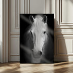 Large Wall Art White Horse Canvas Print