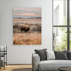 Solitary Buffalo Wall Art Canvas Print, Framed Golden Prairie Earthy Tones