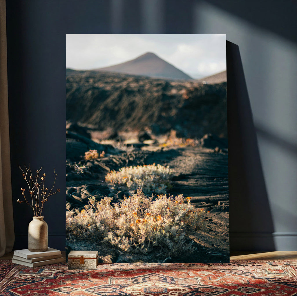 Desert Wall Art Canvas Print, Volcanic Landscape with Soft Wildflowers