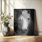 Large Wall Art White Horse Canvas Print