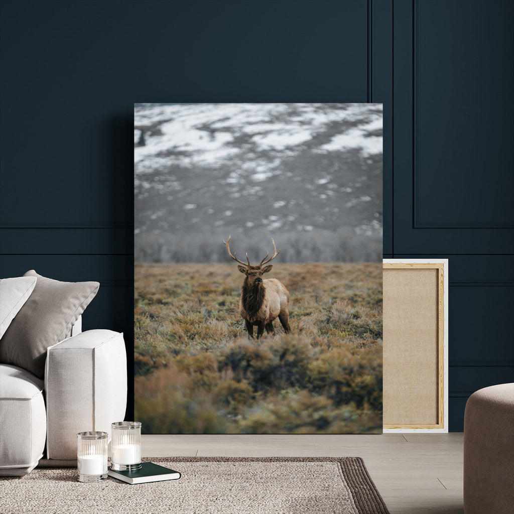 Wild Elk Wall Art Canvas Print, Framed Mountain Wilderness Majestic Animal Artwork