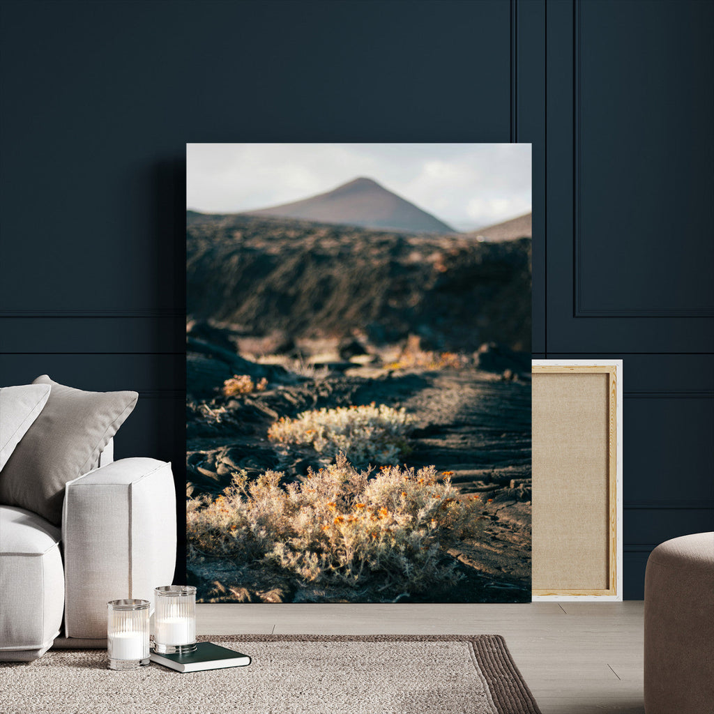 Desert Wall Art Canvas Print, Volcanic Landscape with Soft Wildflowers