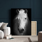 Large Wall Art White Horse Canvas Print
