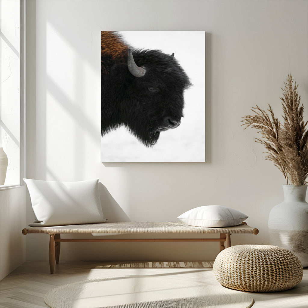 Western Rustic Wall Art Canvas Print, Framed Black and White Buffalo Photography, Wildlife Country Decor