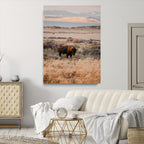 Solitary Buffalo Wall Art Canvas Print, Framed Golden Prairie Earthy Tones