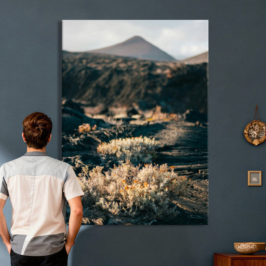 Desert Wall Art Canvas Print, Volcanic Landscape with Soft Wildflowers