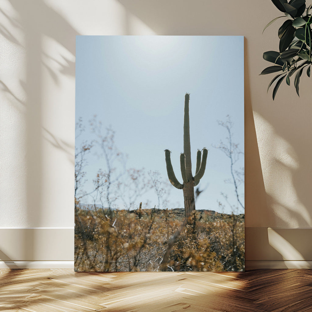Saguaro Cactus Wall Art Canvas Print, Framed Desert Landscape Art, Southwestern Boho Decor