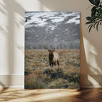 Wild Elk Wall Art Canvas Print, Framed Mountain Wilderness Majestic Animal Artwork