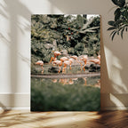 Flamingo Wall Art Canvas Print, Tropical Wildlife Scene