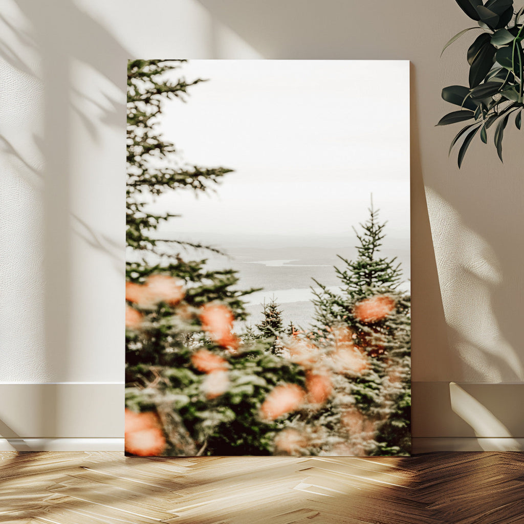 Fall Forest Wall Art Canvas Print | Soft Evergreen Woodland
