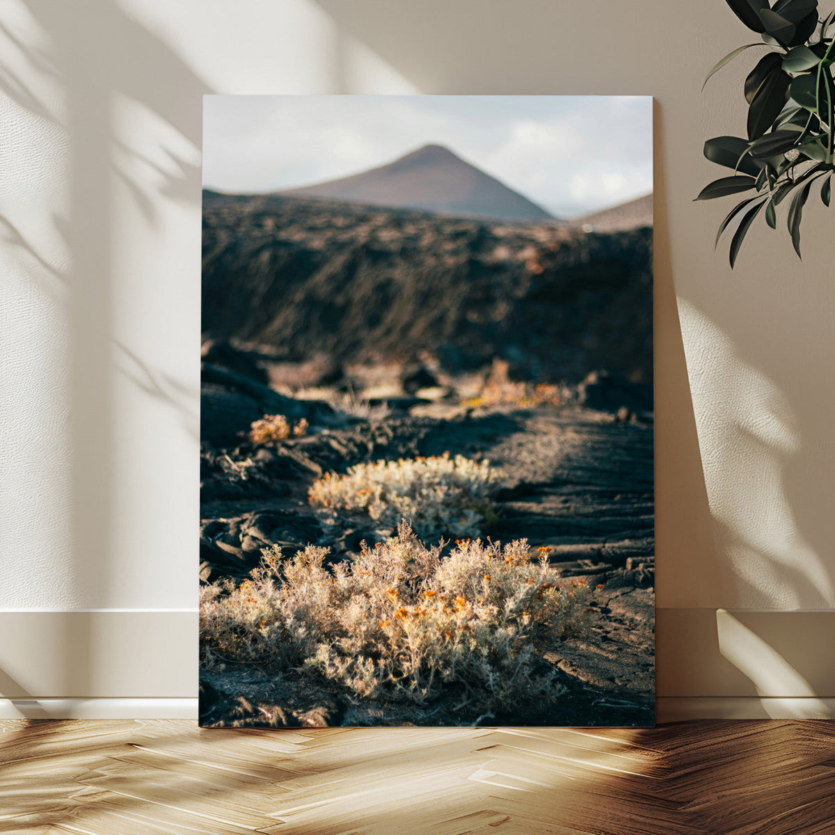 Desert Wall Art Canvas Print, Volcanic Landscape with Soft Wildflowers
