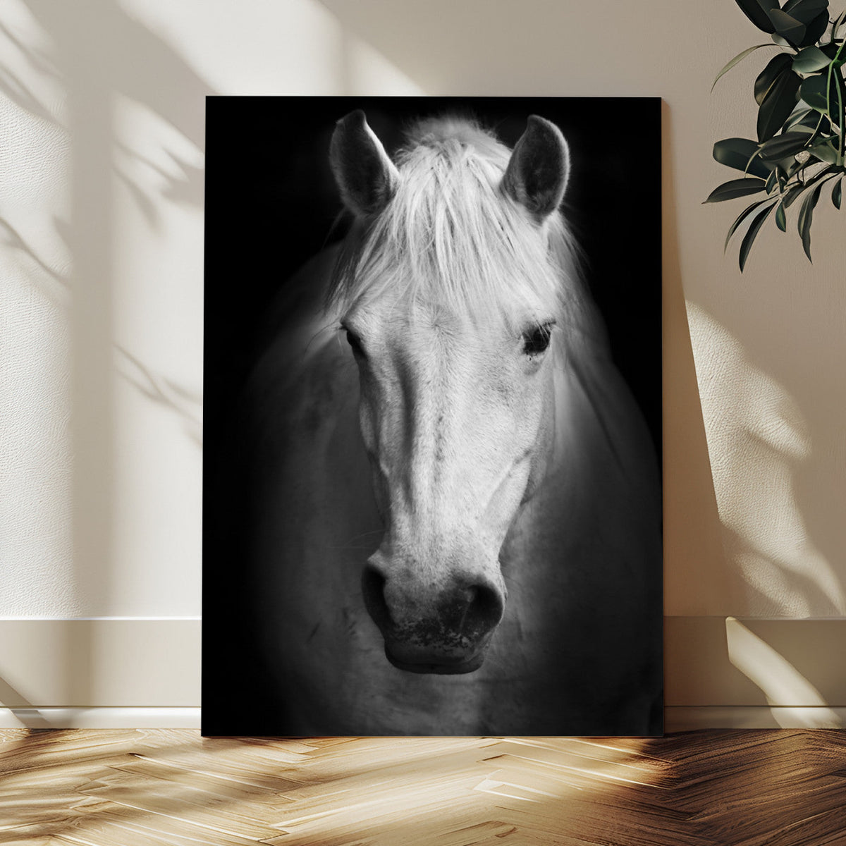 Large Wall Art White Horse Canvas Print