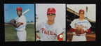 Lot of (17) Autographed Philadelphia Phillies Greats 8x10 Photos 181353