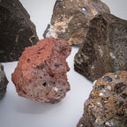 Death of the Dinosaurs - K-Pg Boundary and Deccan Traps