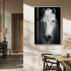 Large Wall Art White Horse Canvas Print