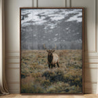 Wild Elk Wall Art Canvas Print, Framed Mountain Wilderness Majestic Animal Artwork