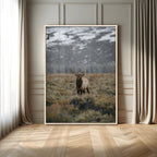 Wild Elk Wall Art Canvas Print, Framed Mountain Wilderness Majestic Animal Artwork
