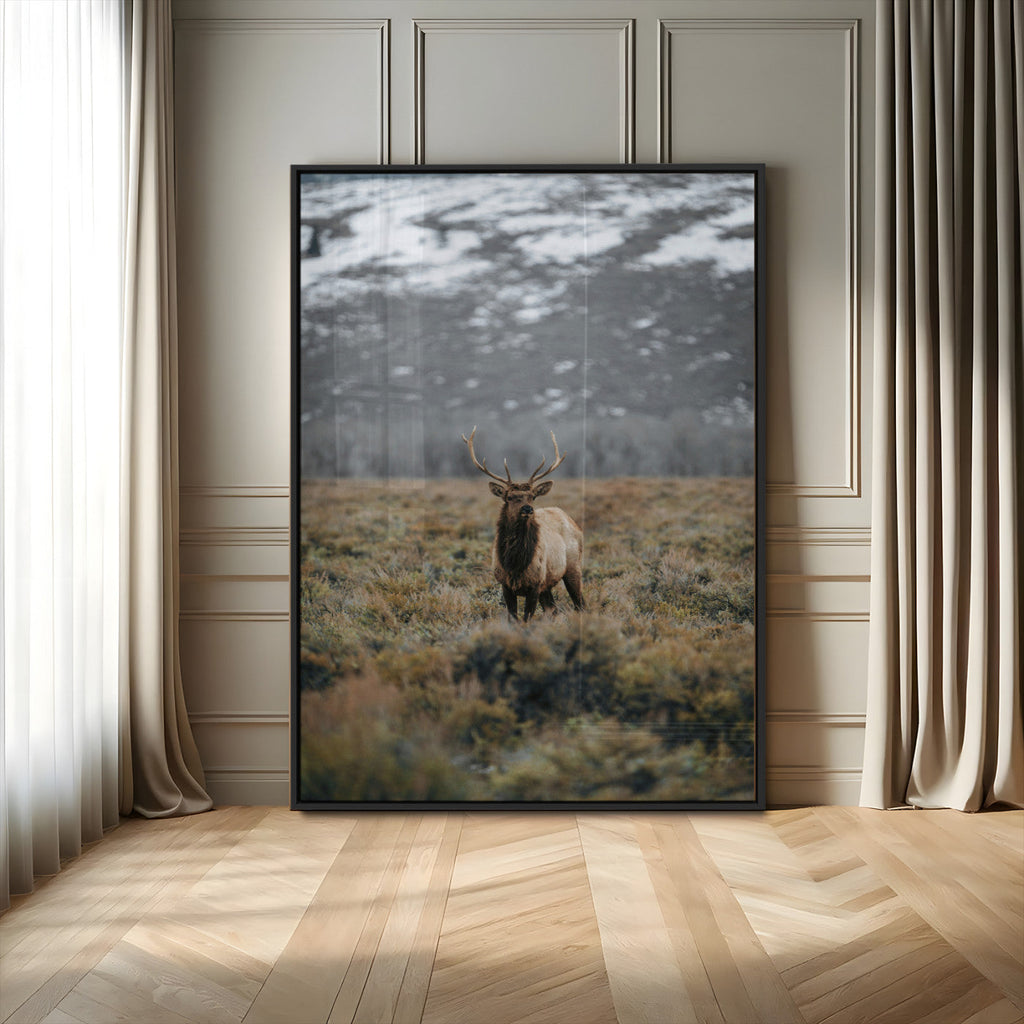 Wild Elk Wall Art Canvas Print, Framed Mountain Wilderness Majestic Animal Artwork