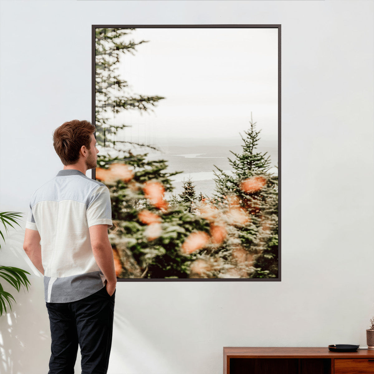 Fall Forest Wall Art Canvas Print | Soft Evergreen Woodland