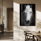 Large Wall Art White Horse Canvas Print