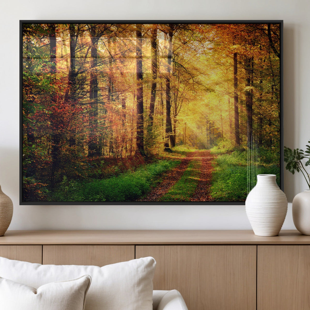 Sunlight Through Trees Wall Art Canvas Print | Autumn Forest Wall Art