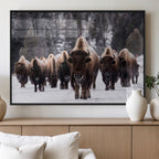 Bison Wall Art Canvas Print, Bison Herd Canvas Wall Art
