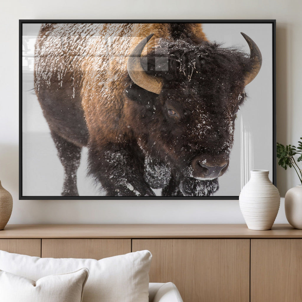 Bison Wall Art Canvas Print For Farmhouse, Wild Animal Wall Art