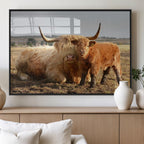 Highland Cow Canvas Wall Art Animal Print for Farm House Decor