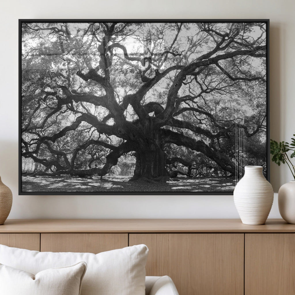 Ancient Oak Wall Art Canvas Print | Gnarled Tree with Twisted Branches