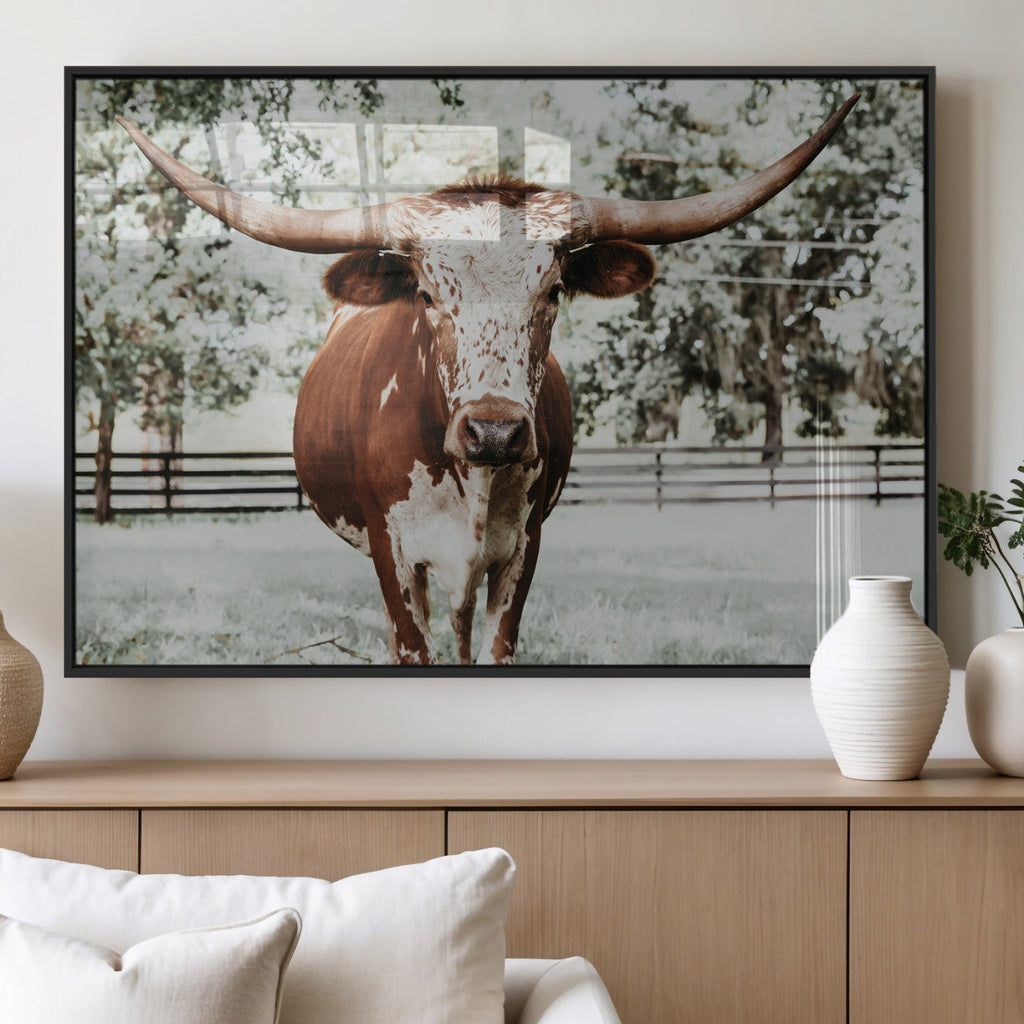 Texas Longhorn Wall Art Canvas Print | Framed Spotted Brown and White Bull