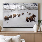 Bison Herd Wall Art Canvas Print, Framed Western Wildlife Decor, Snowy Mountain Valley