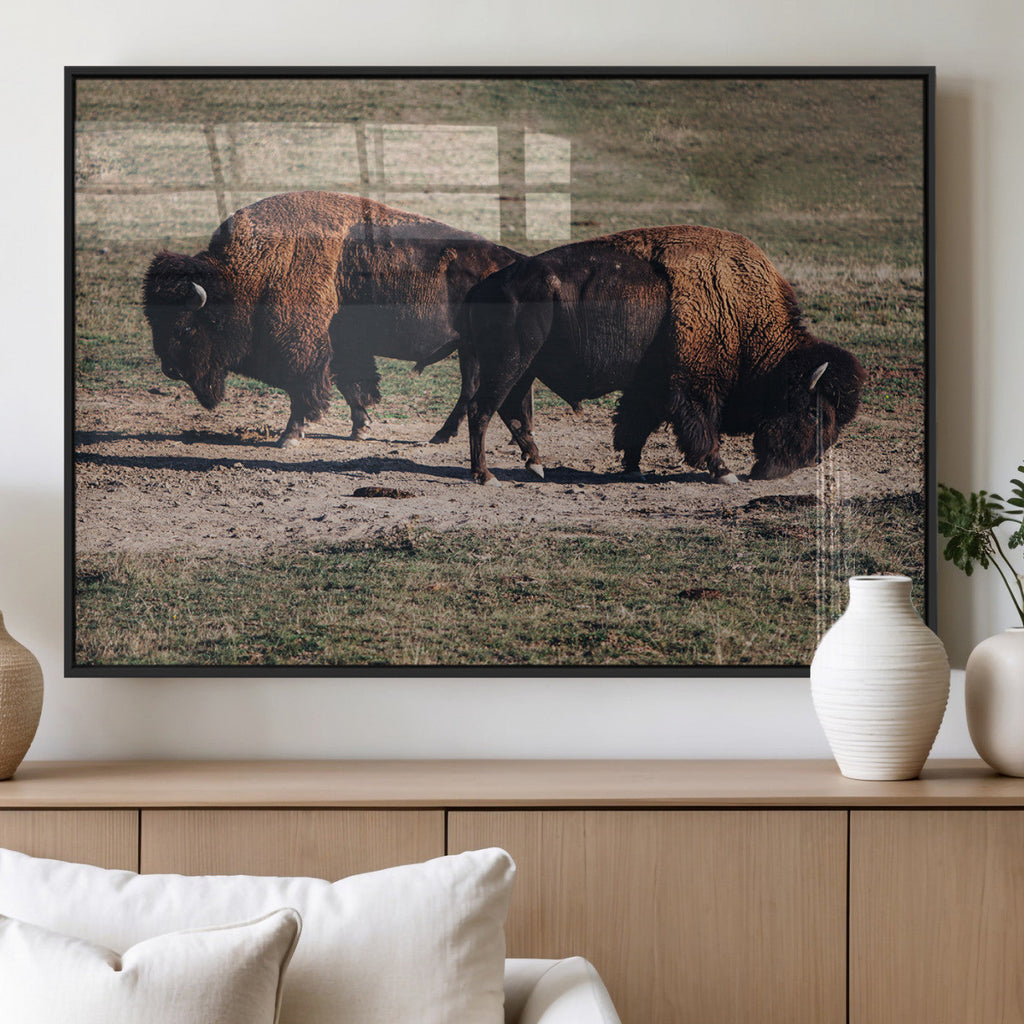 Bison Wall Art Canvas Print, Framed Western Wildlife Modern Ranch