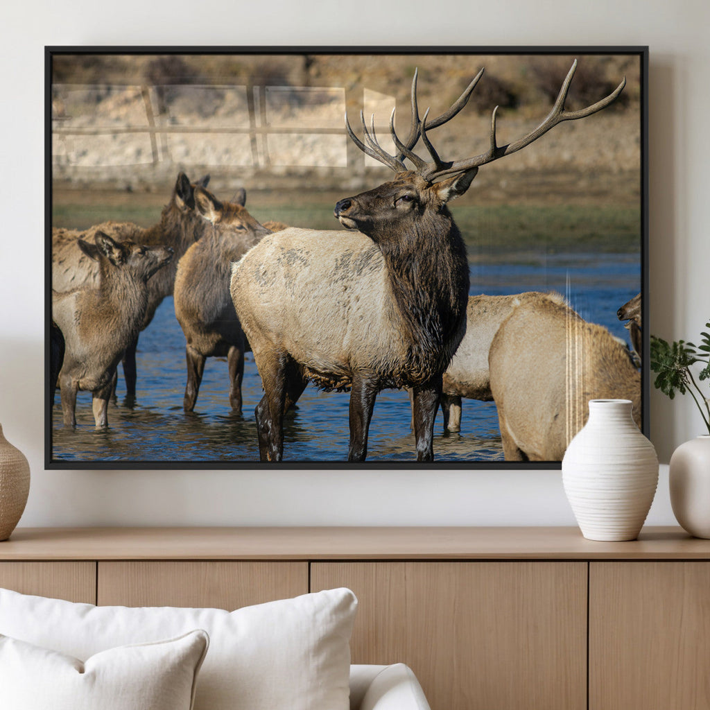 Wild Elk Wall Art Canvas Print, Framed Neutral Wildlife Scene