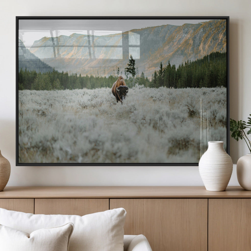 Wild Bison Wall Art Canvas Print, Majestic Mountain Pines and Misty Wilderness