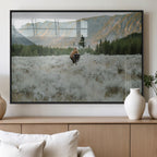 Wild Bison Wall Art Canvas Print, Majestic Mountain Pines and Misty Wilderness