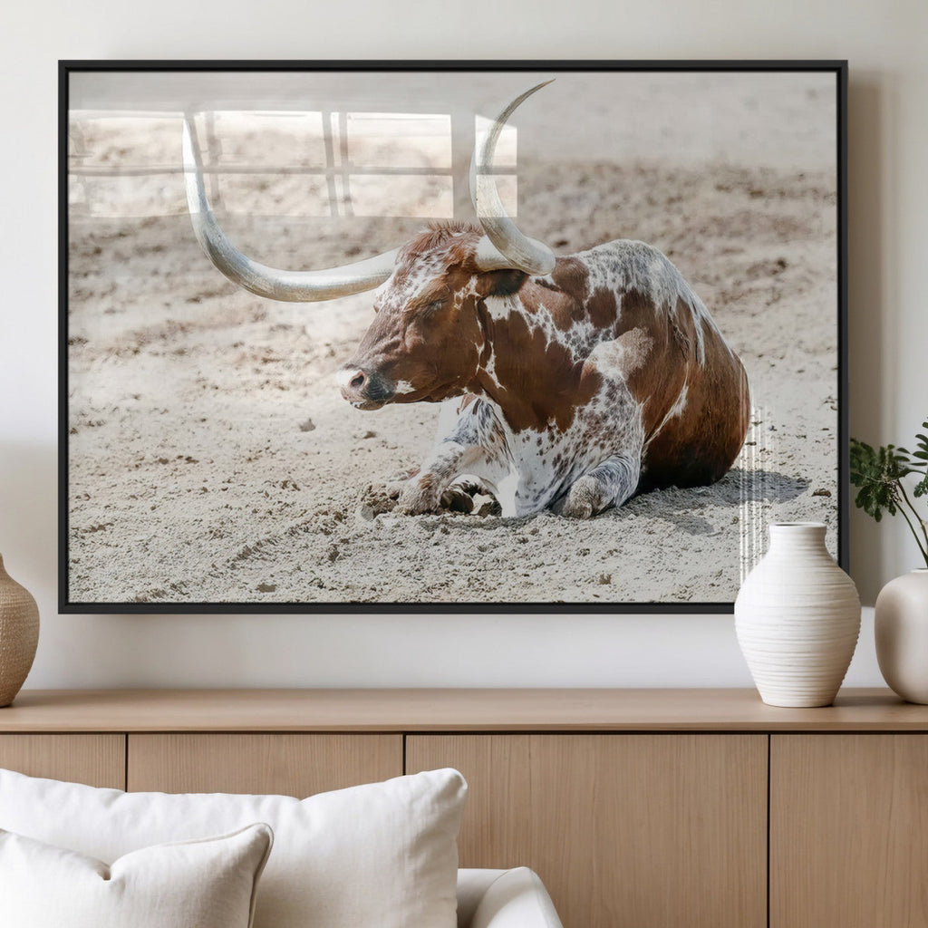 Majestic Longhorn Wall Art Canvas Print, Resting on Sunlit Desert Ground