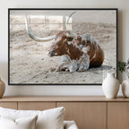 Majestic Longhorn Wall Art Canvas Print, Resting on Sunlit Desert Ground