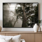 Misty Forest Wall Art Canvas Print, Framed Tall Trees in Foggy Atmosphere