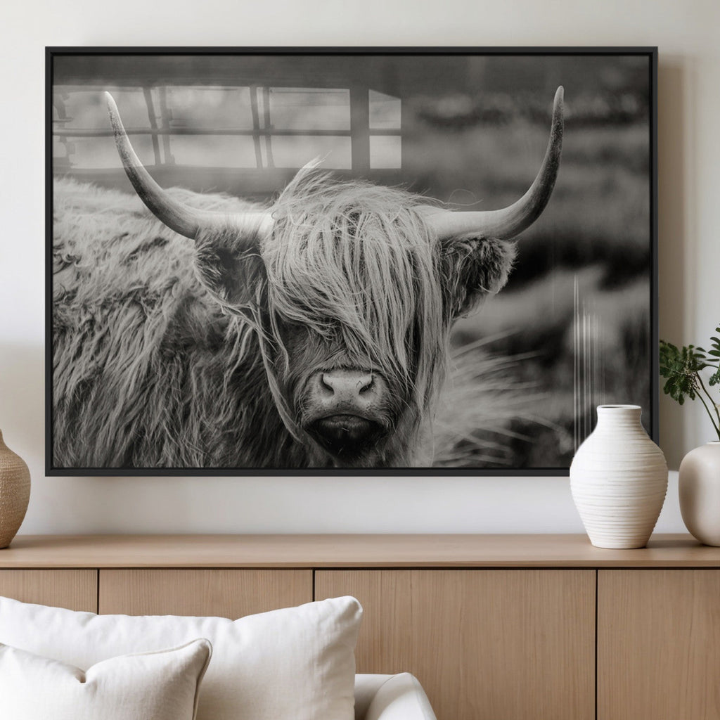 Cow Focus Canvas Wall Art Print