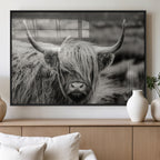 Cow Focus Canvas Wall Art Print