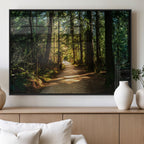 Sunlit Forest Pathway Canvas Print | 3 Panel Large Nature Wall Art