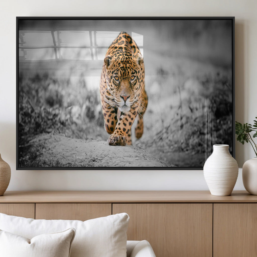 Jaguar Wall Art Canvas Print, Majestic Big Cat in Focused Pursuit