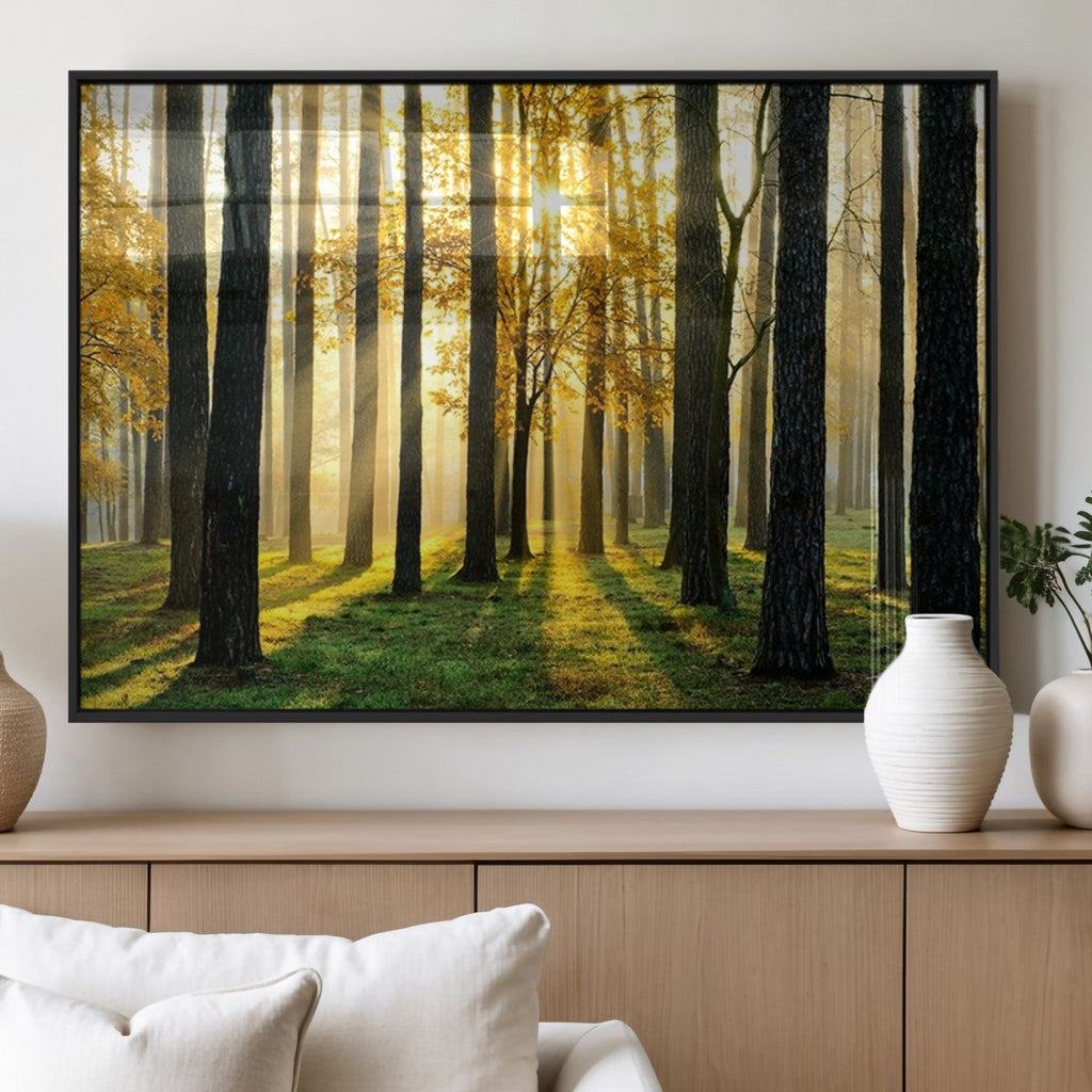 Sunlit Forest Wall Art Canvas Print, Large Framed Woodland Scene with Golden Light