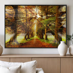 Sunshine in Forest and Trees Wall Art Canvas Print