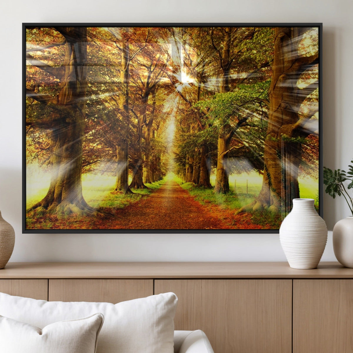 Sunshine in Forest and Trees Wall Art Canvas Print